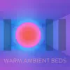 Paul Wilkes & James Warburton - Warm Ambient Beds